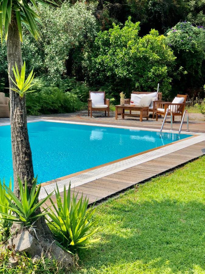 Gialos Villas 1-2 With A Private Pool Μικρός Γιαλός Εξωτερικό φωτογραφία